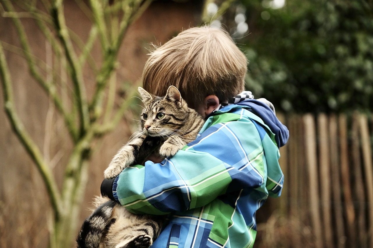 Boy hugging a cat.